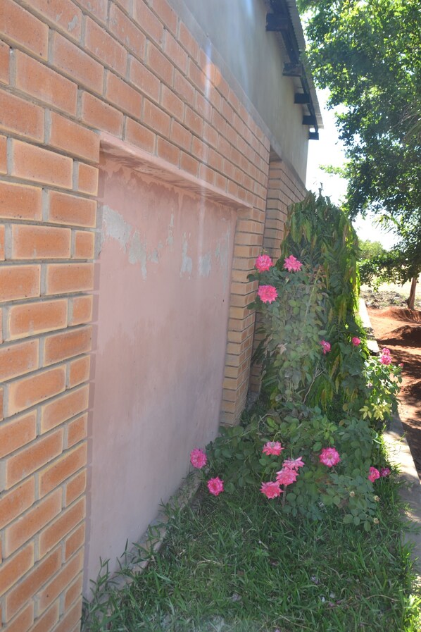 A brick wall with a pinkish hue, a brick pathway, and pink flowers growing along the wall.