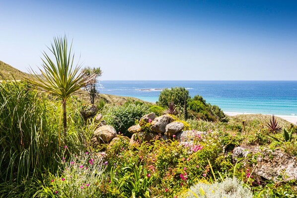 Ein Küstengarten mit vielfältigen Pflanzen und Felsen, der zu einem Strand führt.