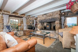 TV, fireplace, DVD player