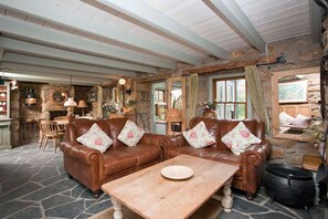 Fernseher, Kamin, DVD-Player