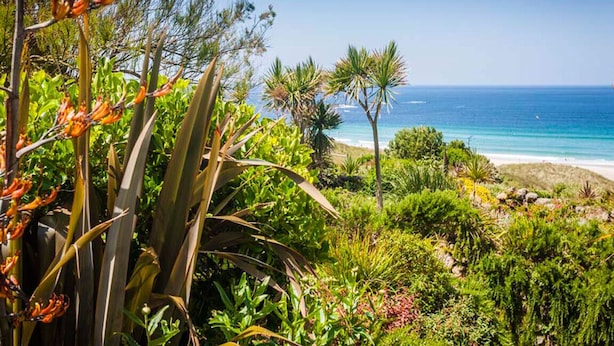 A coastal landscape with dense vegetation and a view of the ocean. - Petra, Beach Cottage, Great Sea Views, Garden (Sennen)