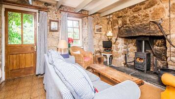 Fernseher, Kamin, DVD-Player