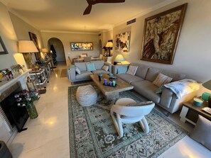 TV, fireplace, DVD player, books