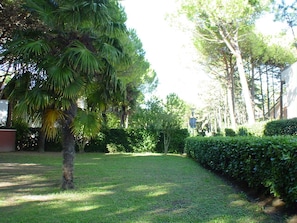Trädgård
