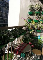 Estudio estándar | Jardín