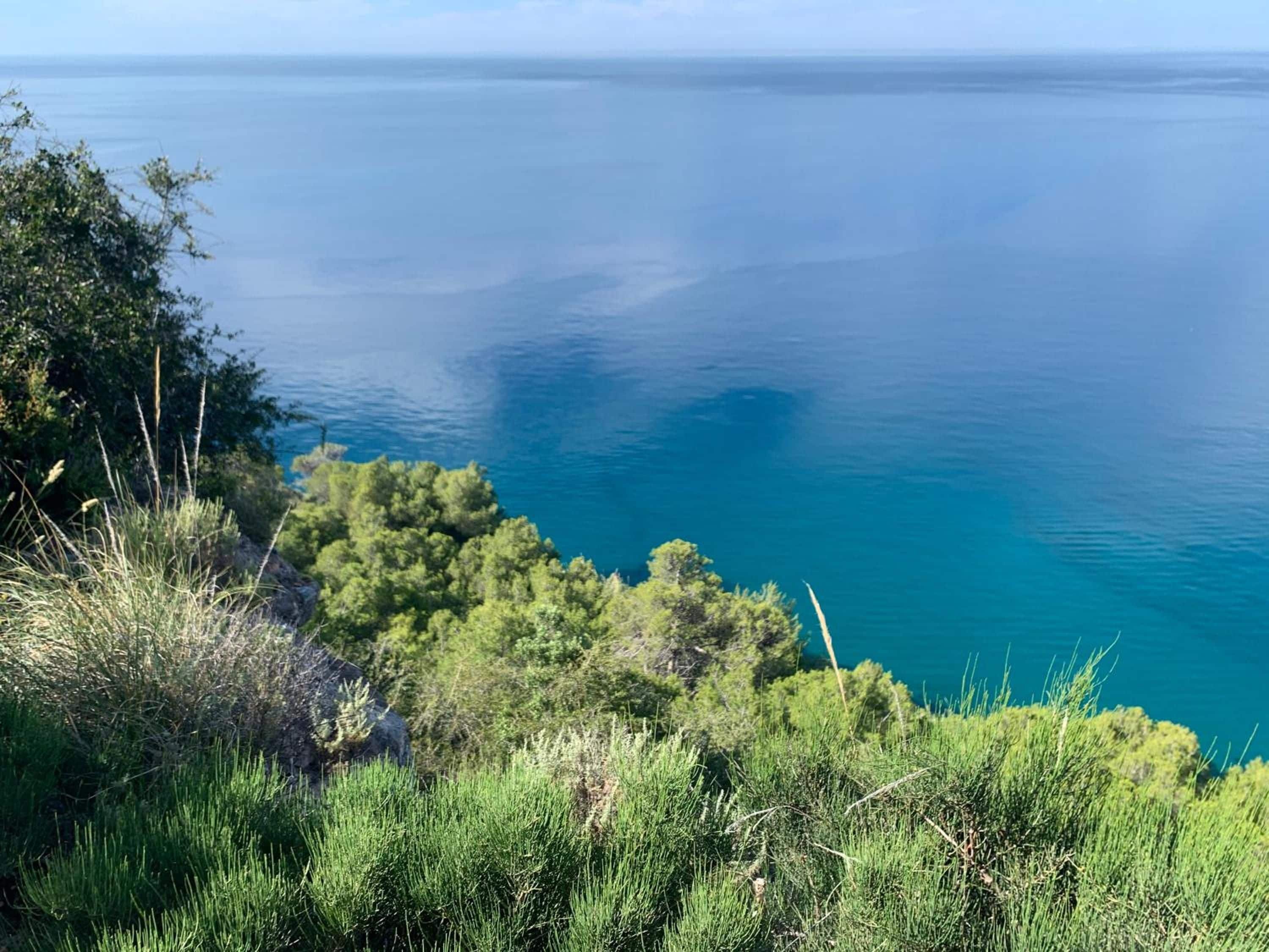 A coastal landscape with a view of the sea and dense green vegetation.