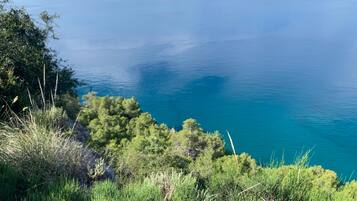 A coastal landscape with a view of the sea and dense green vegetation.