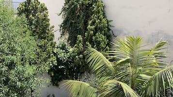 Family Triple Room | Terrace/patio