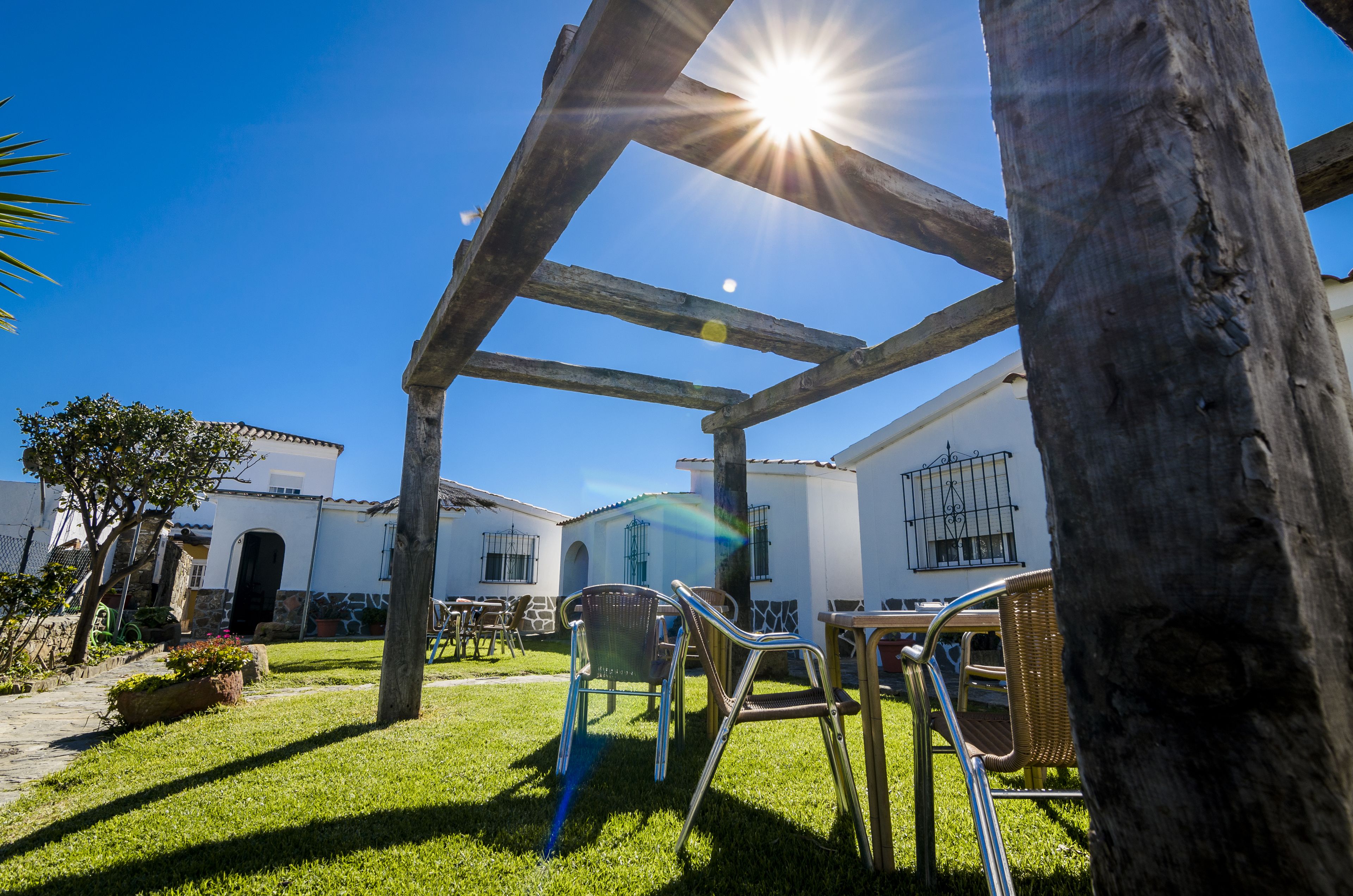 A courtyard with a wooden pergola, outdoor furniture, and a white building with a tiled roof.