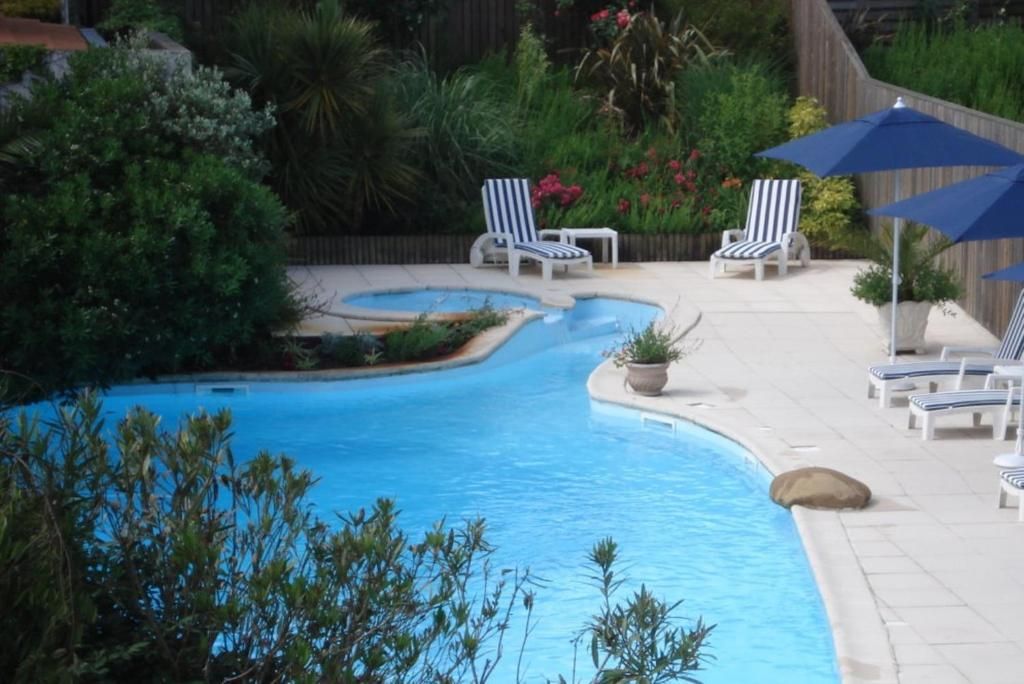 A swimming pool with a curved design, surrounded by lounge chairs and umbrellas.