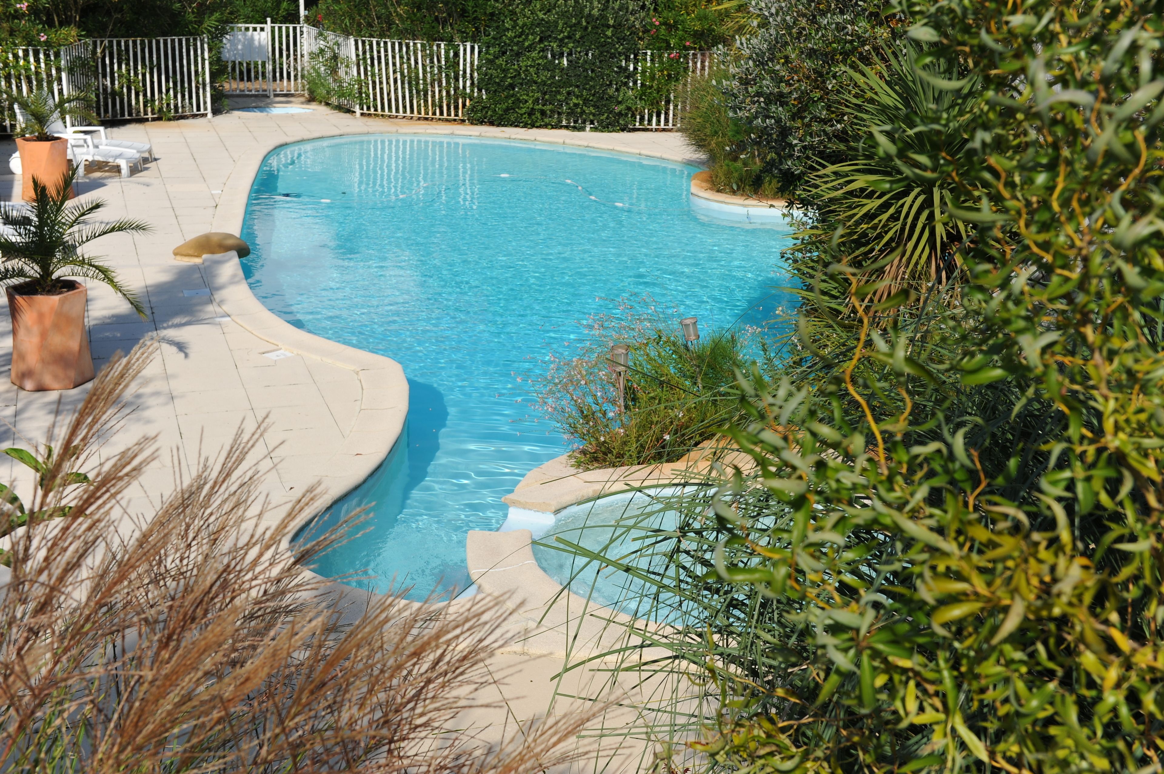 A swimming pool with a curved edge, surrounded by a white fence, potted plants, and a variety of greenery.