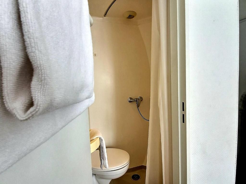 A bathroom with a toilet, shower, and a towel hanging on the wall.