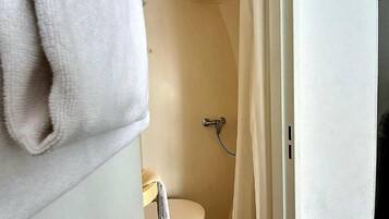 A bathroom with a toilet, shower, and a towel hanging on the wall.