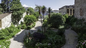 A garden with a gravel path, various plants, and a stone wall.