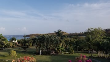 Vista desde la propiedad