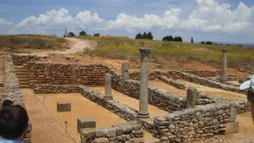 Un sitio arqueológico con ruinas de piedra y columnas.