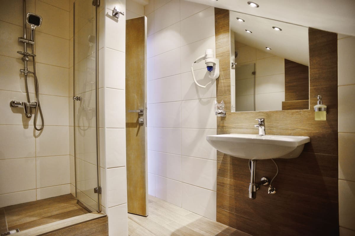 standard double room | bathroom | shower, free toiletries, hair dryer, towels