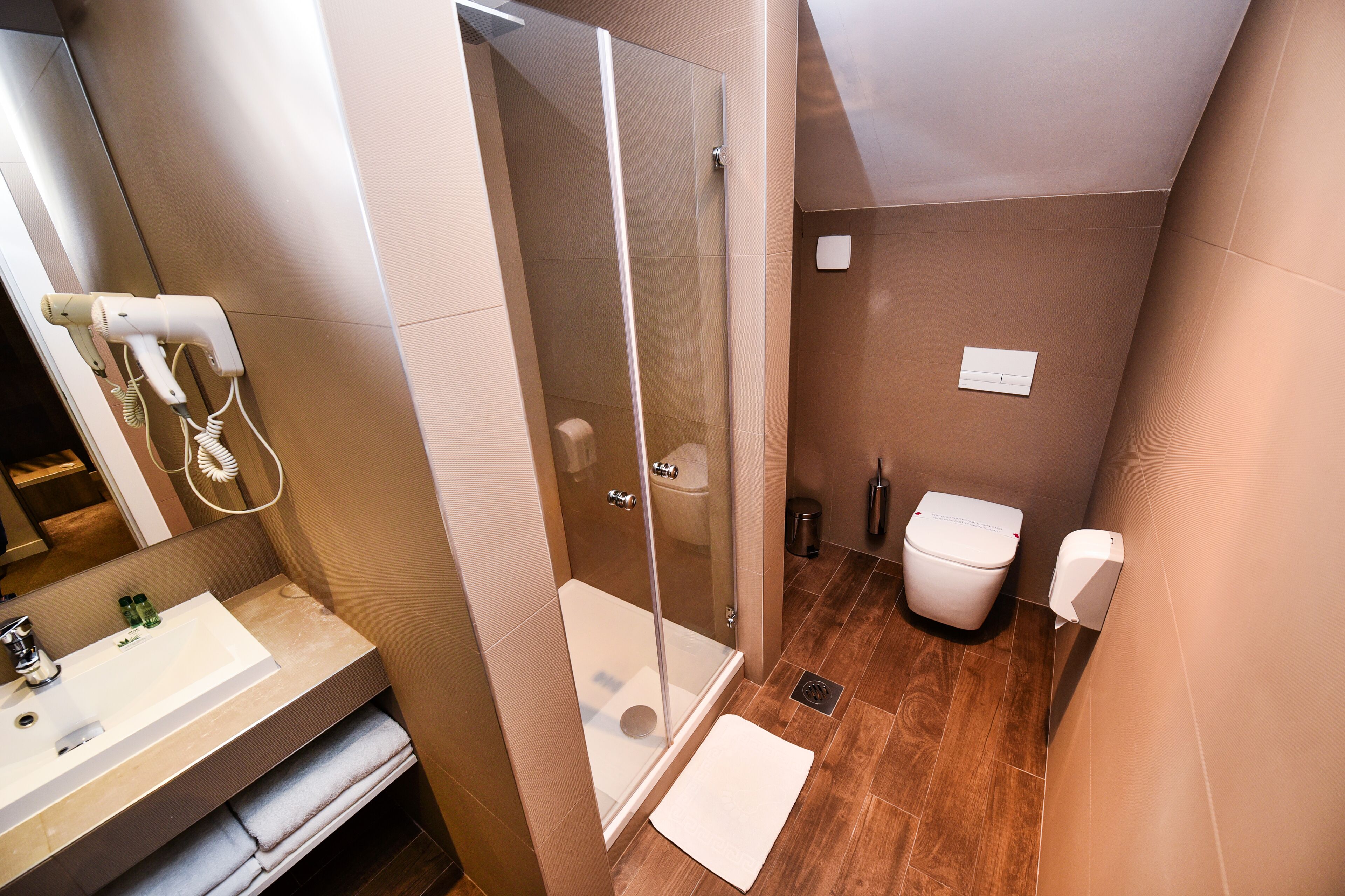 economy double room | bathroom | shower, free toiletries, hair dryer, towels