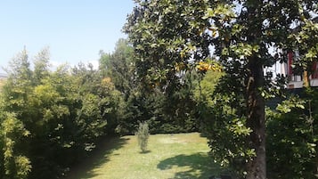 Vista desde la propiedad