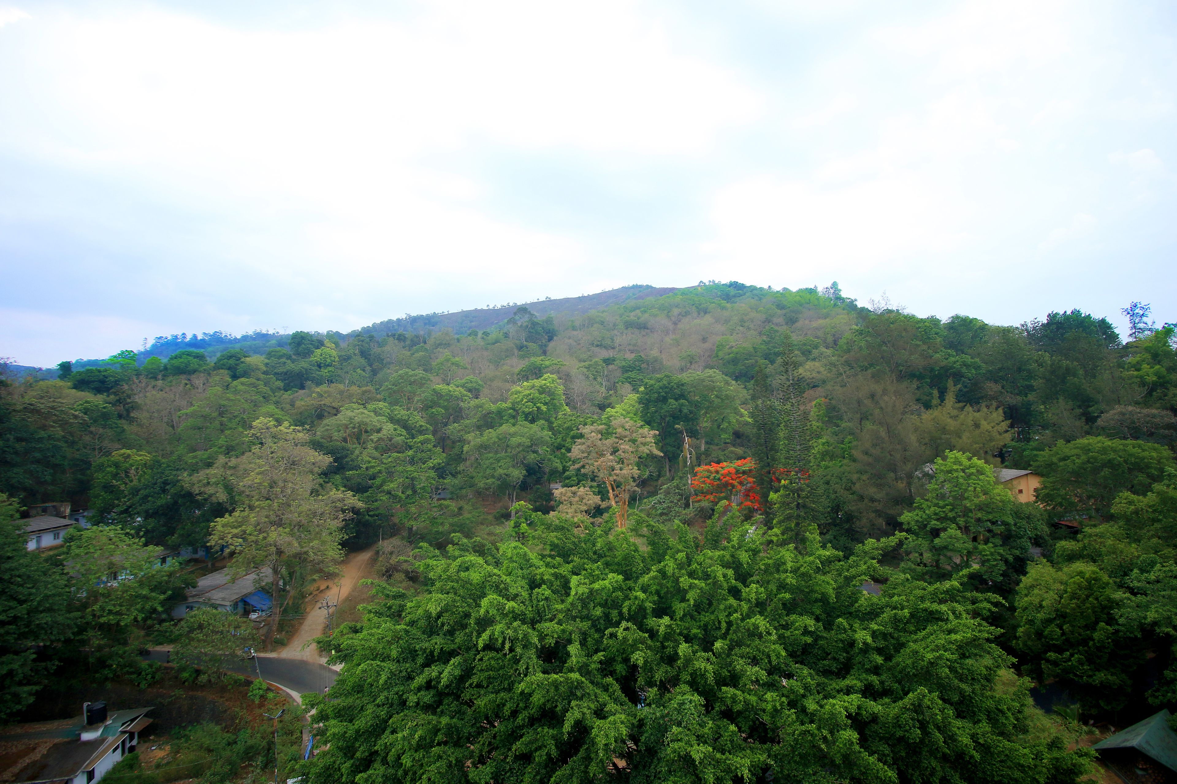 วิวภูเขา