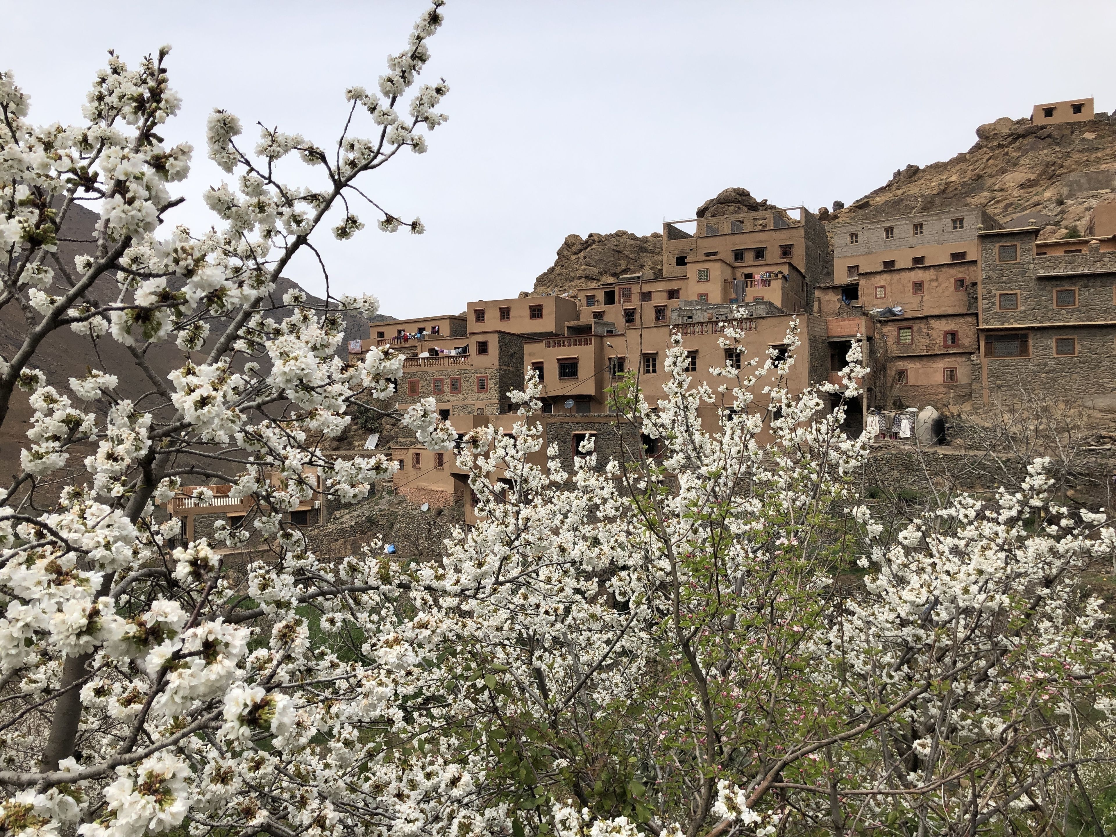 En traditionel bygning med flere balkoner og stenvægge, omgivet af blomstrende træer.