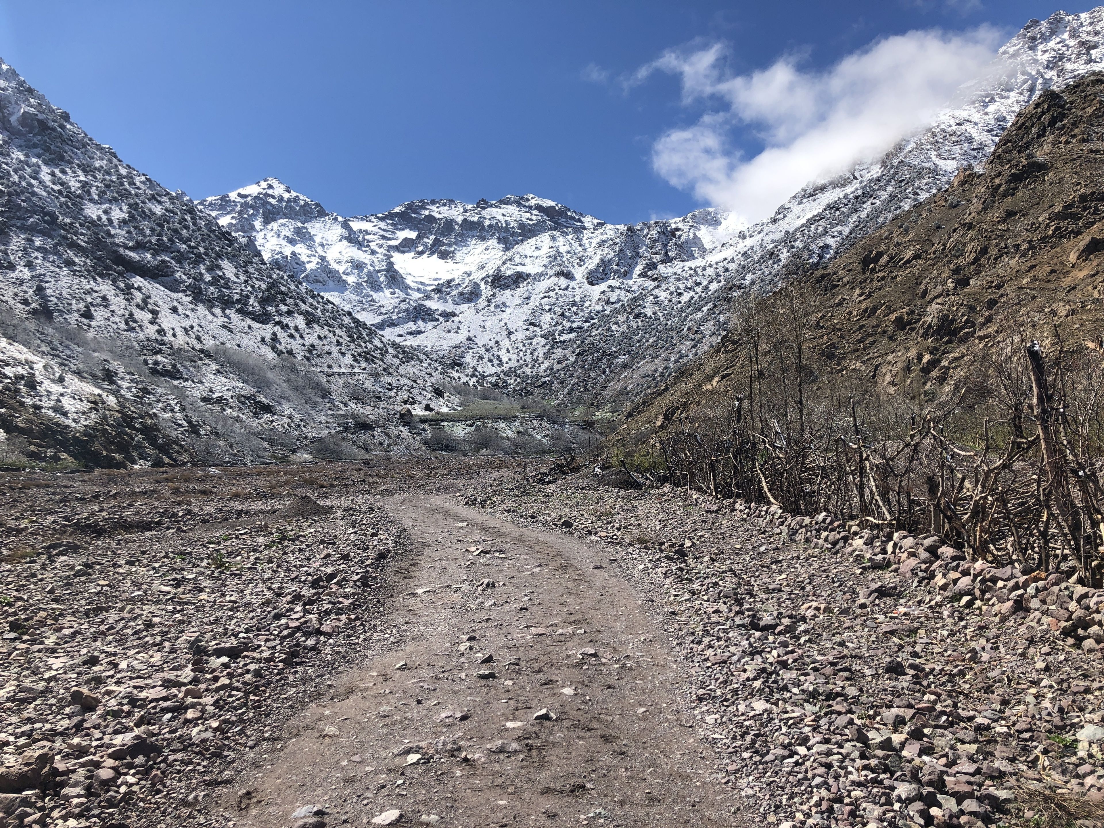 Um caminho pedregoso em montanha, com picos nevados ao fundo.