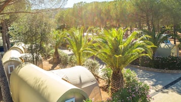 Superior Tent | 3 bedrooms