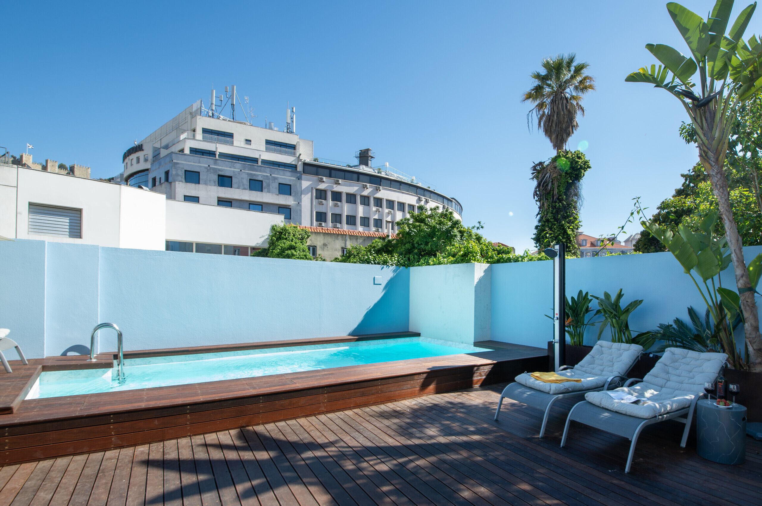 A rooftop pool with wooden decking, two lounge chairs, and a palm tree.