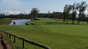 Een golfbaan met een vijver, bomen en een heldere lucht.