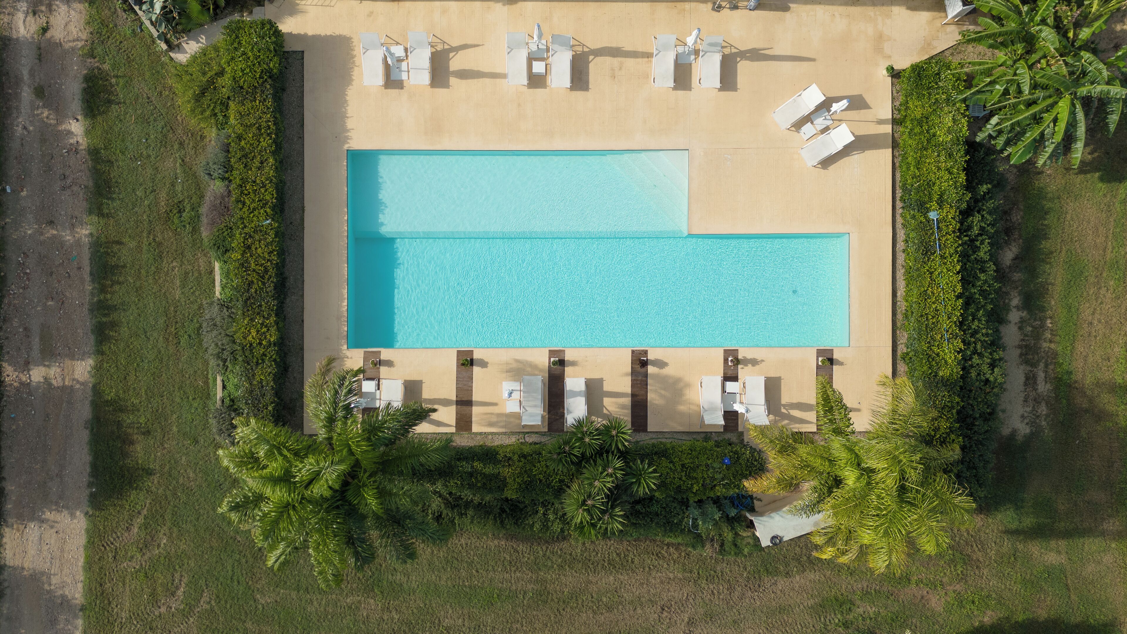An aerial view of a rectangular swimming pool surrounded by lounge chairs and palm trees.