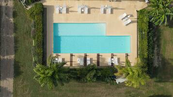 An aerial view of a rectangular swimming pool surrounded by lounge chairs and palm trees.