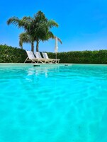 Una piscina azul cristalina con dos sillas de descanso y una palmera.