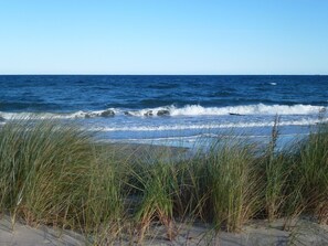 Vlak bij het strand