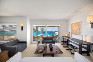 Smart TV, books, stereo, printers - The White Stone & Art Villa, seaside, luxury, sublime endless view (Plaka)