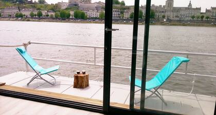 UNUSUAL GORGEOUS TRADITIONAL BOAT FACING THE CHATEAU DE SAUMUR