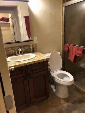 Shower, hair dryer, towels, soap