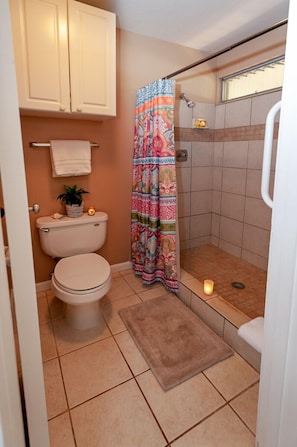 Shower, hair dryer, towels