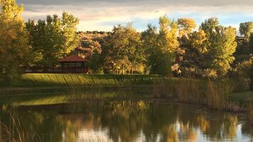A tranquil pond with a gazebo in the background, surrounded by trees and a grassy area.