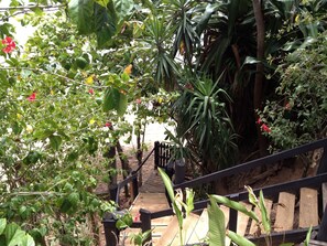 Looking down the steps from deck. You are right on the beach! Outdoor shower.