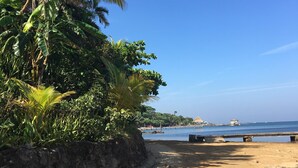 A sandy beach with palm trees and a clear blue sky.