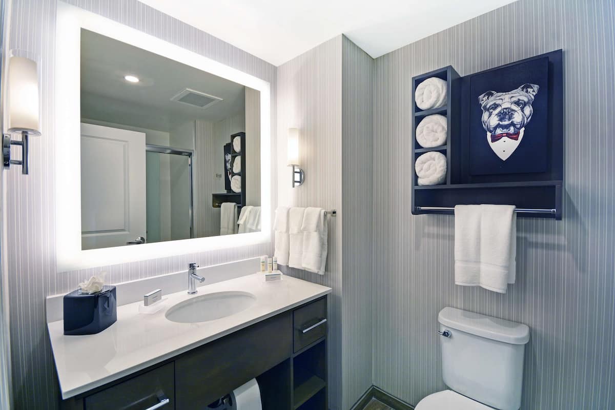 combined shower/bathtub, hydromassage showerhead, hair dryer, towels