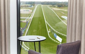 32 インチの液晶テレビ (プレミアムチャンネル視聴可)、テレビ