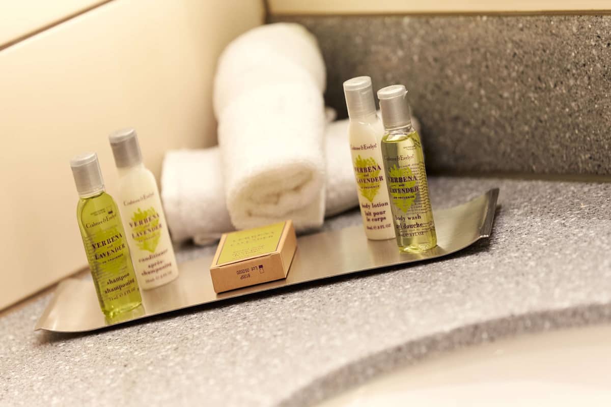 free toiletries, hair dryer, towels