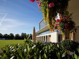 Área de parrillas y picnic