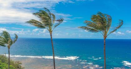 Oceanfront views, top floor privacy, bright tropical interior