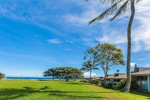 Une propriété située en bord de mer, dotée d’une grande pelouse, de palmiers et offrant une vue sur l’océan.