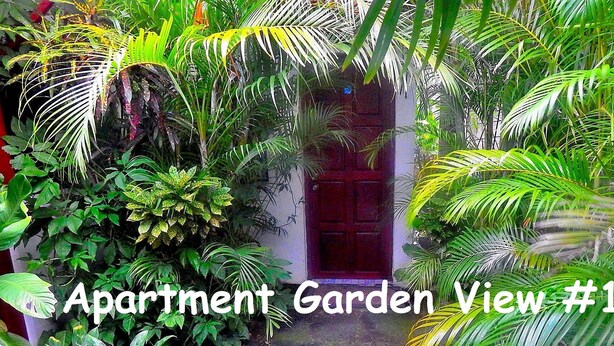 An apartment garden with a red door, dense foliage, and a view of the surrounding greenery. - Rositas Hotel (San Juan del Sur)