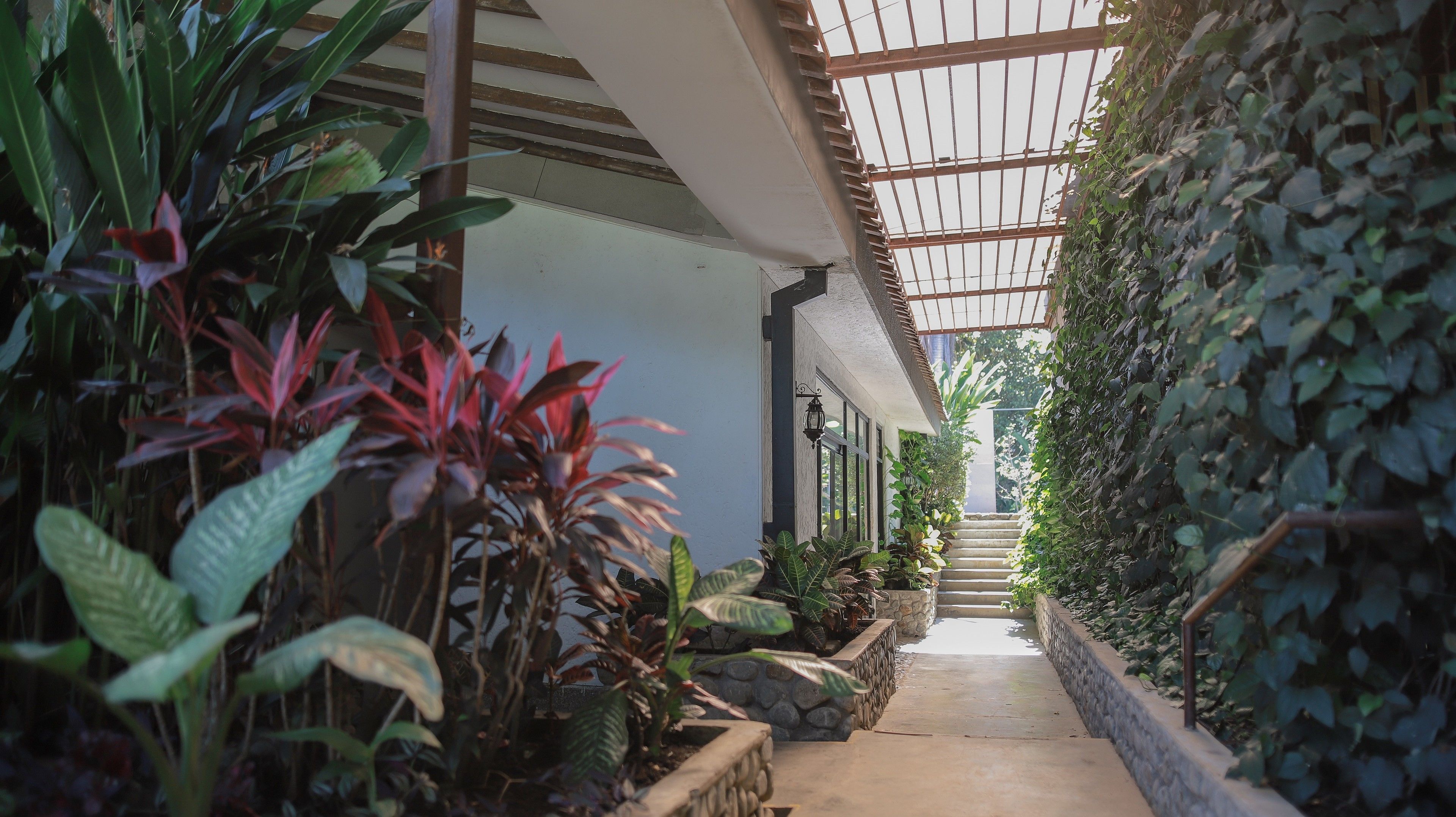 Jardín