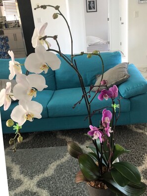 บ้านพักลักซ์ชัวรี่, 4 ห้องนอน, ปลอดบุหรี่, วิวสระว่ายน้ำ | บริเวณนั่งเล่น | ทีวีจอแบน, เตาผิง