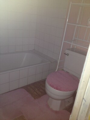 Combined shower/bathtub, spring water bathtub, rainfall showerhead